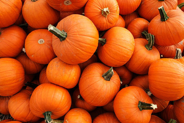 halloween-and-pumpkins